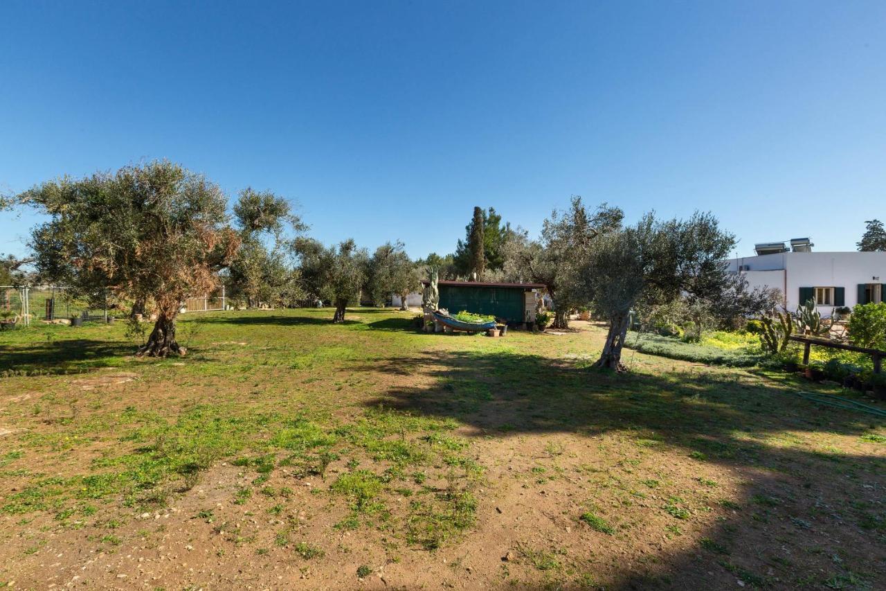 Villa Itaca Garden By Barbarhouse Porto Cesareo Eksteriør billede